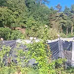 Campingplatz Viadowinagardens *