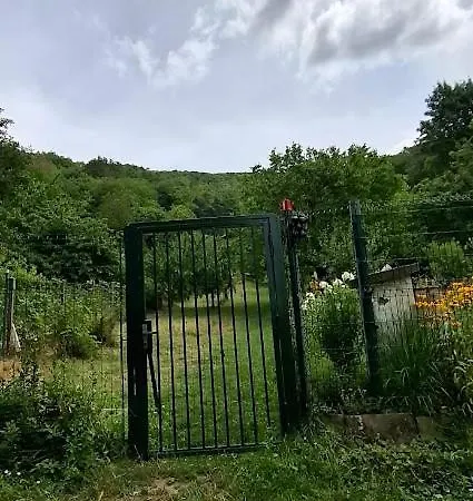 Viadowinagardens キャンプ場 ブラチスラヴァ