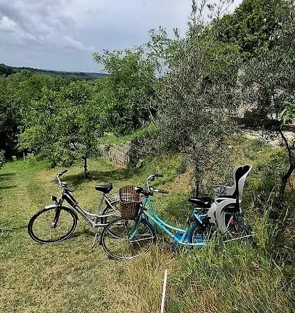 豪华帐篷 Viadowinagardens 布拉迪斯拉发