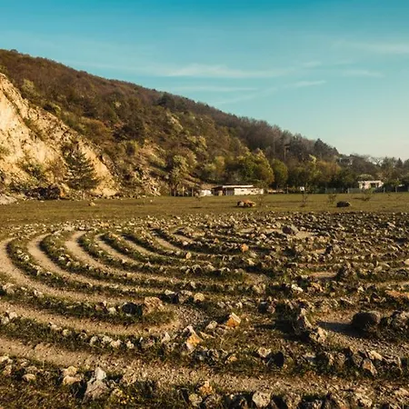 Viadowinagardens * 布拉迪斯拉发