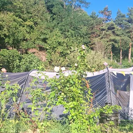 豪华帐篷 Viadowinagardens *