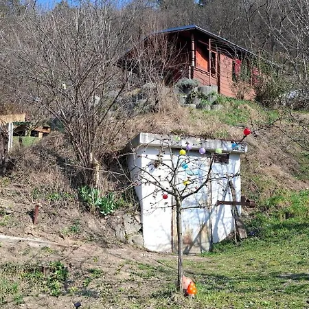 Viadowinagardens