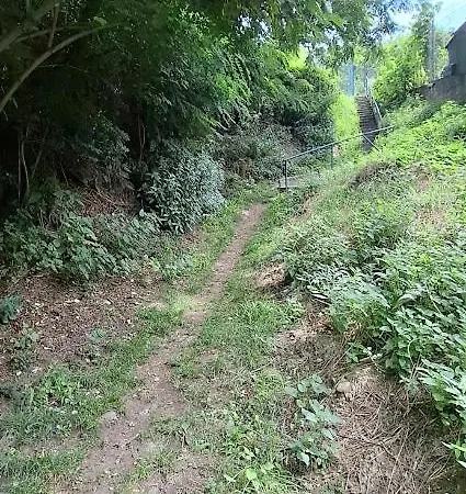 캠프장 Viadowinagardens 브라티슬라바
