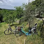 Кемпинг Viadowinagardens Братислава