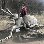 Кемпинг Viadowinagardens