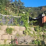 Viadowinagardens Кемпинг *