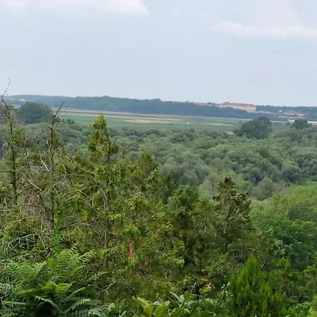 Viadowinagardens *